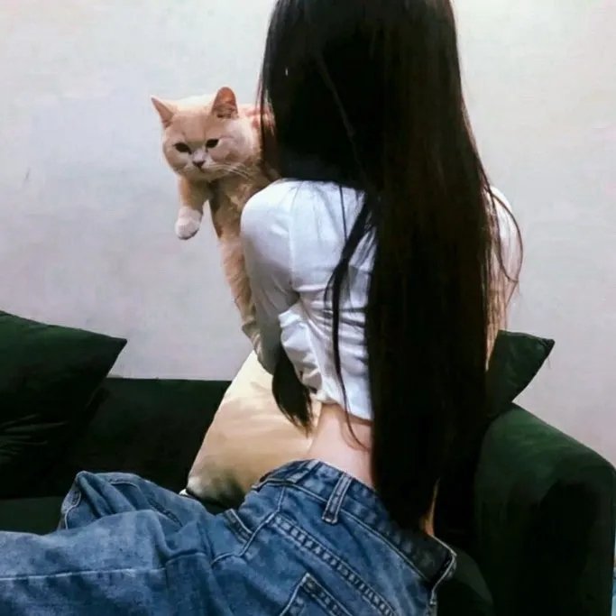访客